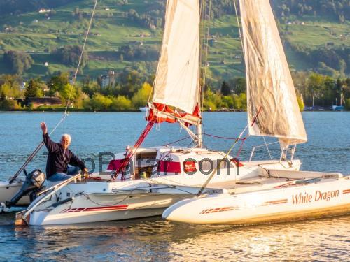 Dragonfly 800 Swing Wing tekniska specifikationer och recensioner